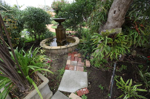 Jacaranda Guest House - Accommodation Rockhampton 32
