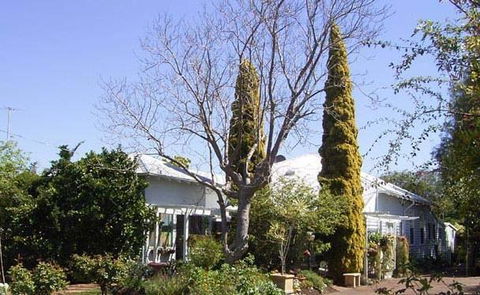 Jacaranda Guest House - Accommodation Rockhampton 37