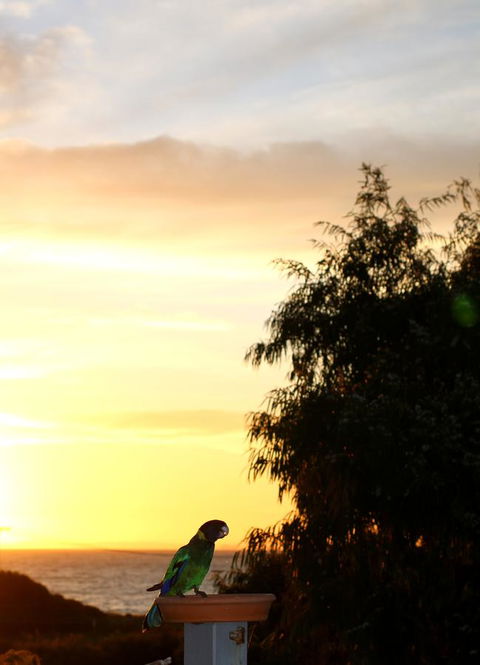 Peppy Beach Ocean Views - Accommodation Rockhampton 12