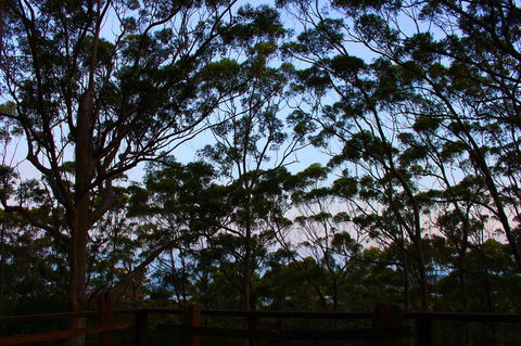 Ark Of Denmark - Accommodation Rockhampton 27