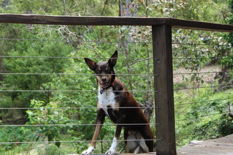 Ark Of Denmark - Accommodation Rockhampton 10