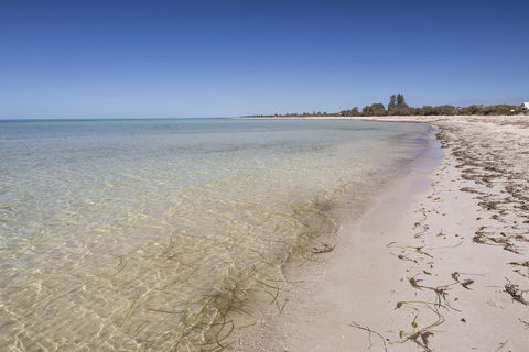 Boardwalk - Accommodation Rockhampton 24