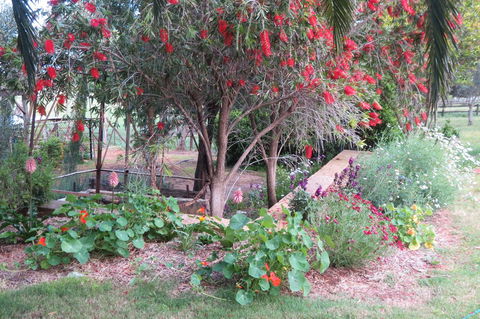 Bentwood Olive Grove Accommodation - Accommodation Rockhampton 21