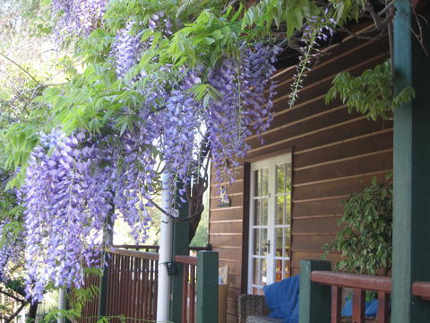 RoseMoore Bed & Breakfast - Accommodation Rockhampton 11