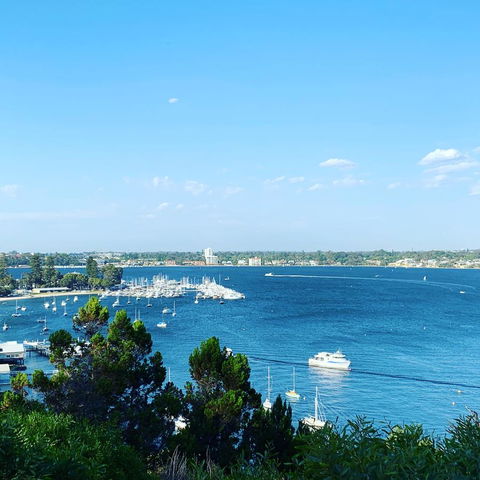 SEA BREEZE â€“ Between Cottesloe Beach & Swan River - Accommodation Rockhampton 23