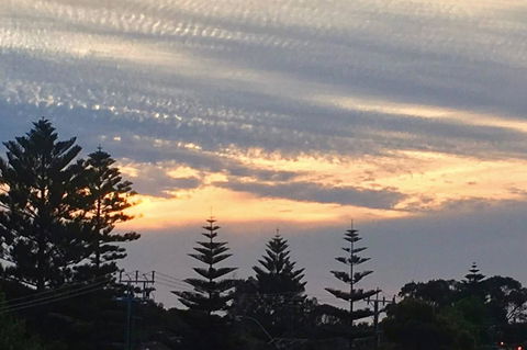 SEA BREEZE â€“ Between Cottesloe Beach & Swan River - Accommodation Rockhampton 16