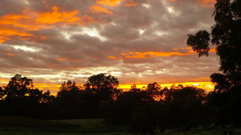 Windfall Estate Vineyard Cottage - Accommodation Rockhampton 32