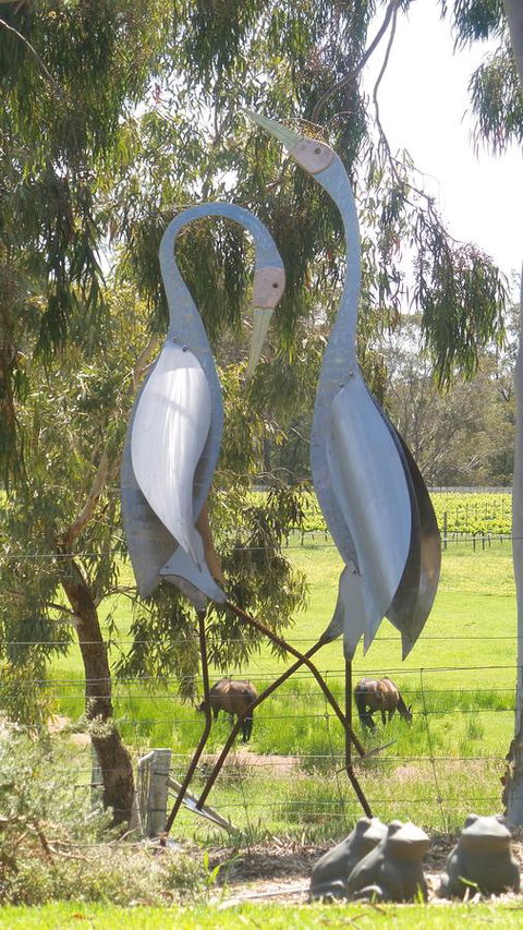 Windfall Estate Vineyard Cottage - Accommodation Rockhampton 31