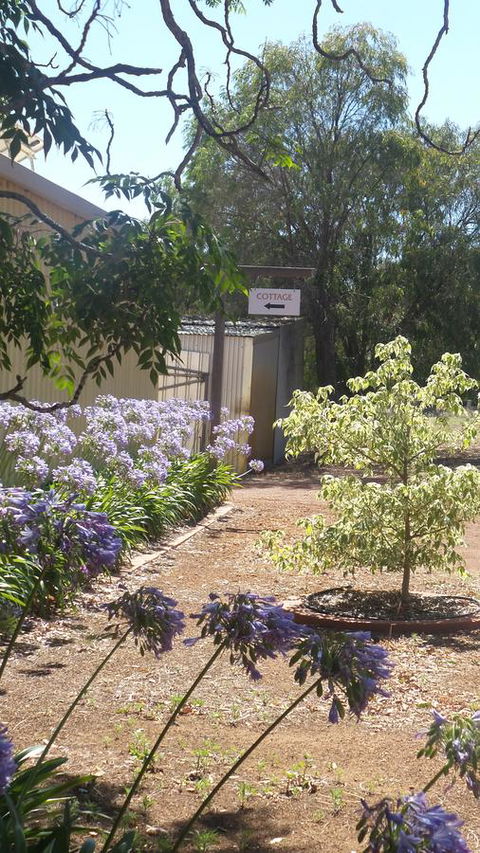 Windfall Estate Vineyard Cottage - Accommodation Rockhampton 13