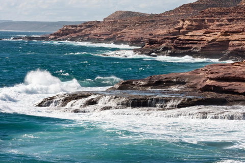 Kalbarri Palm Resort - Accommodation Rockhampton 44
