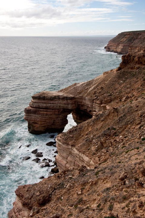 Kalbarri Palm Resort - Accommodation Rockhampton 32