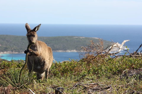 Bremer Bay B&B - Accommodation Rockhampton 30