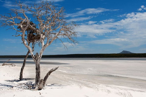 Bremer Bay B&B - Accommodation Rockhampton 33
