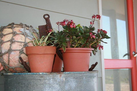Bremer Bay B&B - Accommodation Rockhampton 28