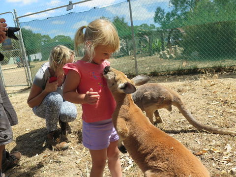 Jurien Beachfront Holiday Units - Accommodation Rockhampton 36