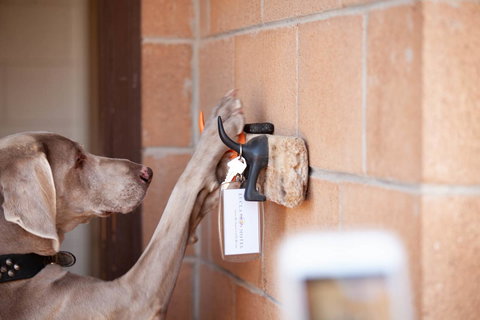 EUCLA MOTOR HOTEL - Accommodation Rockhampton 21