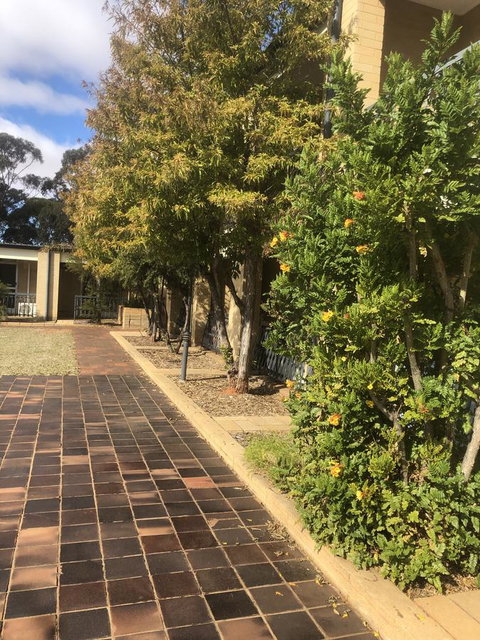 Kambalda Hotel - Accommodation Rockhampton 24