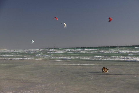 Dongara Tourist Park - Accommodation Rockhampton 33