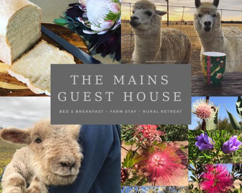 The Mains Guest House 2 Bedroom Farm Stay - Accommodation Rockhampton 0