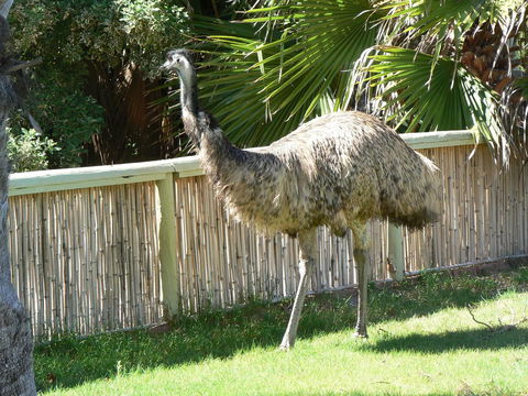 Wildsights Villas - Accommodation Rockhampton 29