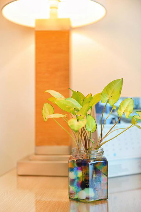 Bunbury Hotel Koombana Bay - Accommodation Rockhampton 7