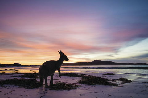 Esperance YHA - Accommodation Rockhampton 20