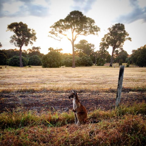 Ironstone Studio Margaret River - Accommodation Rockhampton 18