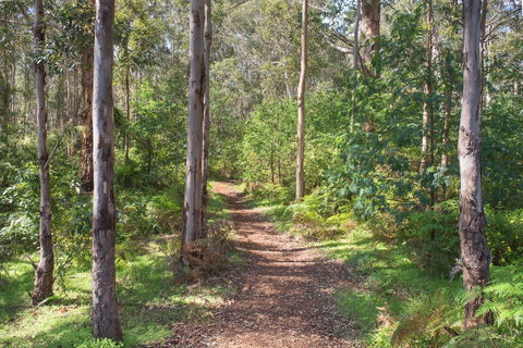 Tall Trees Margaret River - Accommodation Rockhampton 4