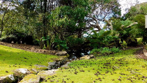 43 Degrees Bruny Island - Accommodation Rockhampton 8