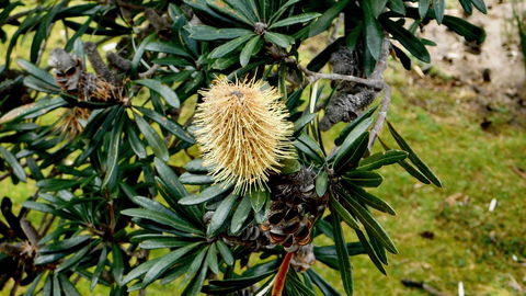 43 Degrees Bruny Island - Accommodation Rockhampton 11