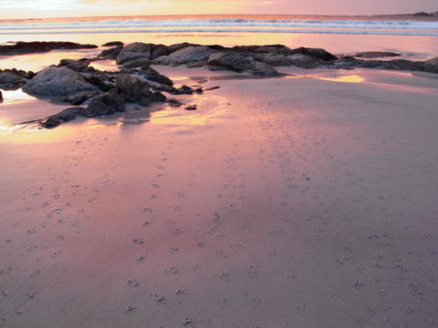 Beachend Bicheno - Accommodation Rockhampton 2