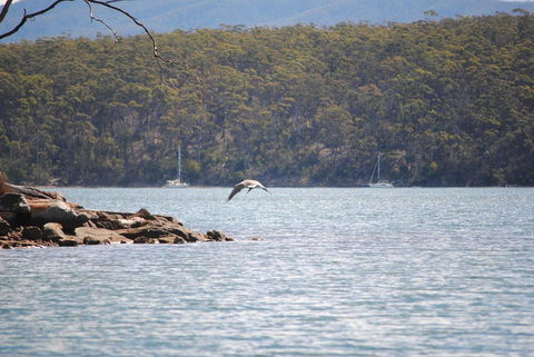 A Slice Of Paradise - Accommodation Rockhampton 18
