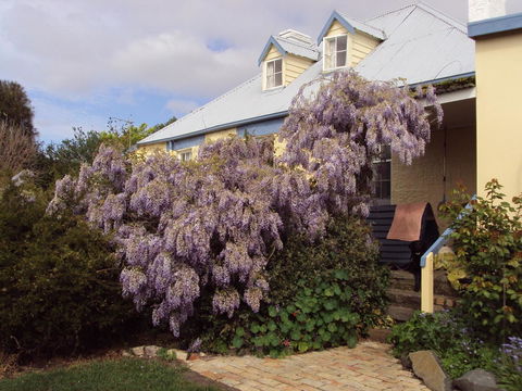 Orford's Sanda House B&B - Accommodation Rockhampton 40