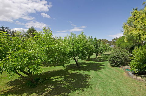 Orford's Sanda House B&B - Accommodation Rockhampton 37