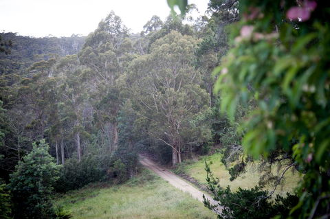 The Pear Cottage - Accommodation Rockhampton 19