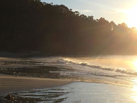 Summertime Cottage - Accommodation Rockhampton 7