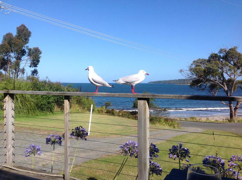 Summertime Cottage - Accommodation Rockhampton 25