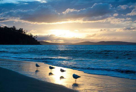 The Ultimate Beach House - Accommodation Rockhampton 8