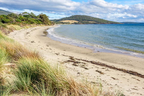 Omaroo Cottage Bruny Island - Accommodation Rockhampton 14