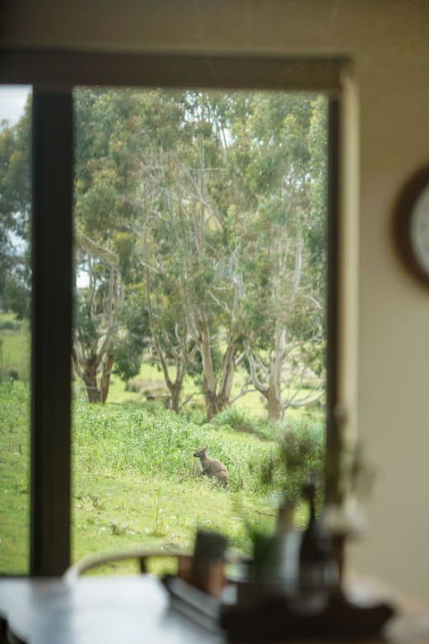 Adventure Bay Retreat Bruny Island - Accommodation Rockhampton 7