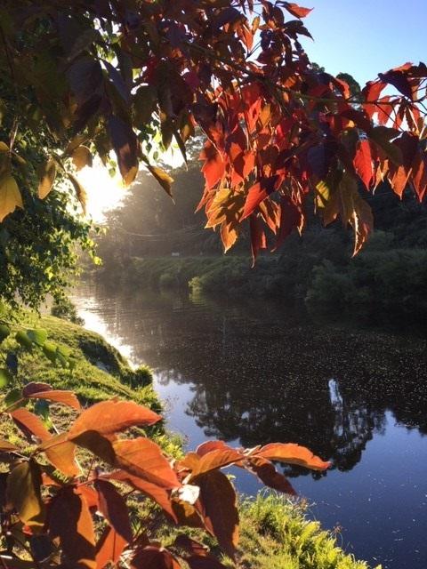 Forth River Cottage - Accommodation Rockhampton 4