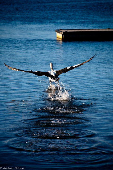 The Waterfront Wynyard - Accommodation Rockhampton 17