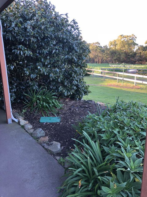 Acton Park Holiday Units - Accommodation Rockhampton 20