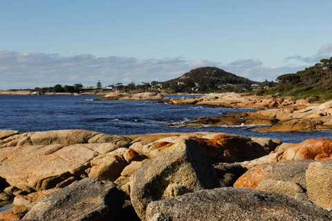Mermaids Of Bicheno - Accommodation Rockhampton 15