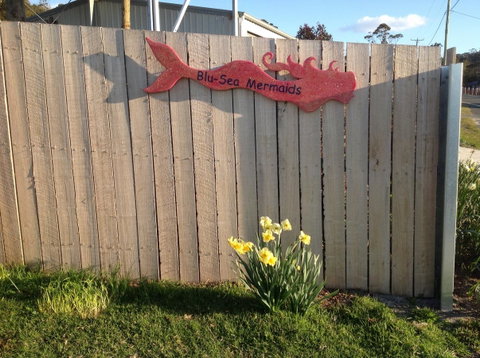 Mermaids Of Bicheno - Accommodation Rockhampton 17