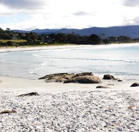 Mermaids of Bicheno - Accommodation Rockhampton