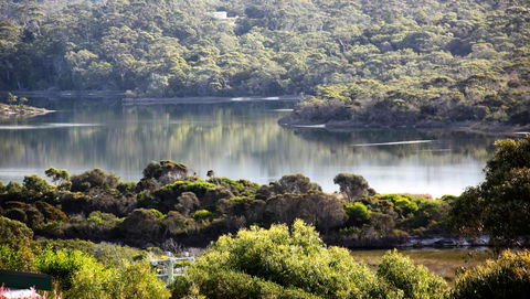 SEA EAGLE COTTAGE Amazing Views Of Bay Of Fires - Accommodation Rockhampton 17