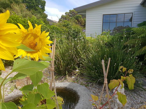 Garden By The Beach - Gateway To The East Coast, Close To Airport - Accommodation Rockhampton 13