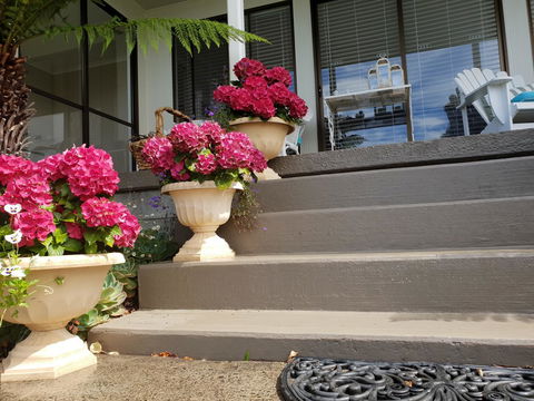 Garden By The Beach - Gateway To The East Coast, Close To Airport - Accommodation Rockhampton 8