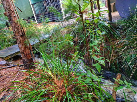 Roland B&B - Accommodation Rockhampton 17